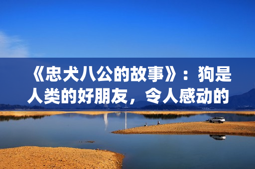 《忠犬八公的故事》：狗是人类的好朋友，令人感动的真实故事(忠犬八公的故事电影在线)