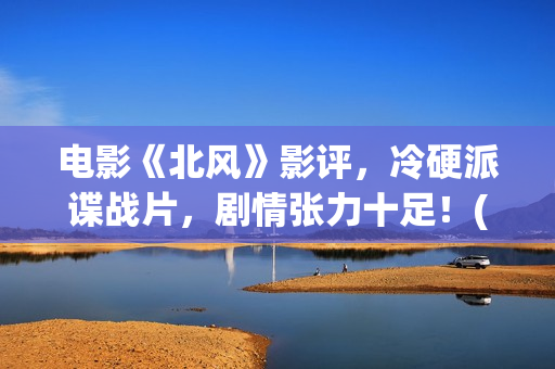 电影《北风》影评，冷硬派谍战片，剧情张力十足！(电影《北风》影评分析)