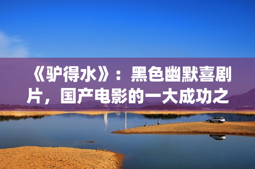 《驴得水》：黑色幽默喜剧片，国产电影的一大成功之作！(驴得水到底讲的是什么)