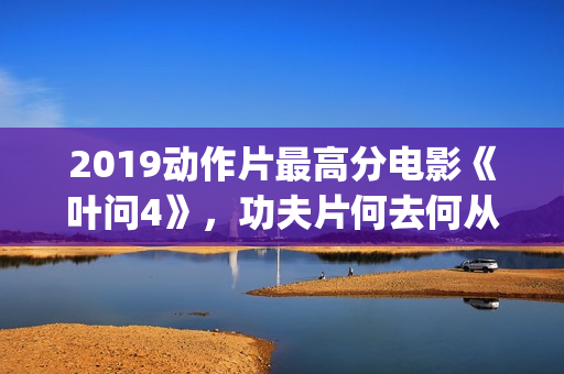 2019动作片最高分电影《叶问4》，功夫片何去何从？(2019年最佳动作片)