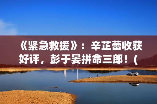 《紧急救援》：辛芷蕾收获好评，彭于晏拼命三郎！(紧急救援第九季)