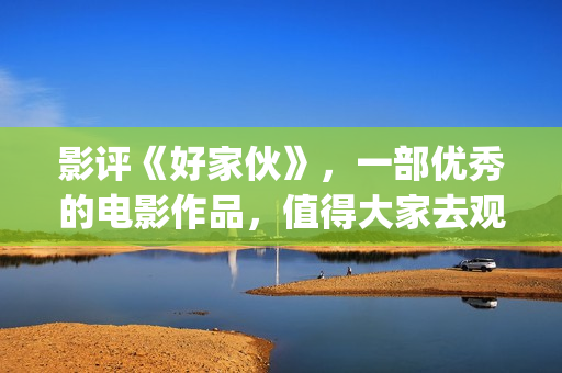 影评《好家伙》，一部优秀的电影作品，值得大家去观看！(电影《好家伙》)