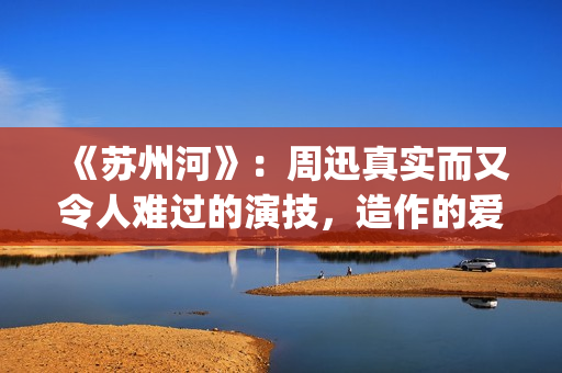 《苏州河》：周迅真实而又令人难过的演技，造作的爱情更显动人(周迅苏州河讲的什么)