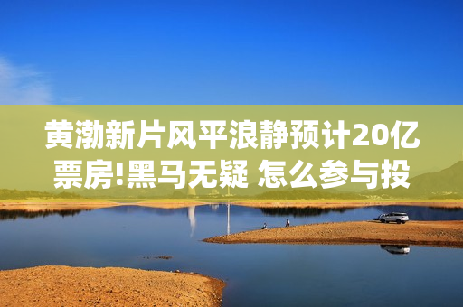 黄渤新片风平浪静预计20亿票房!黑马无疑 怎么参与投资(风平浪静黄渤出品方)