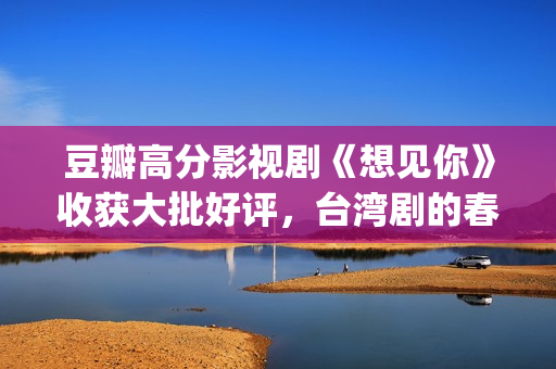 豆瓣高分影视剧《想见你》收获大批好评，台湾剧的春天又来了？(豆瓣十大高分电视剧)
