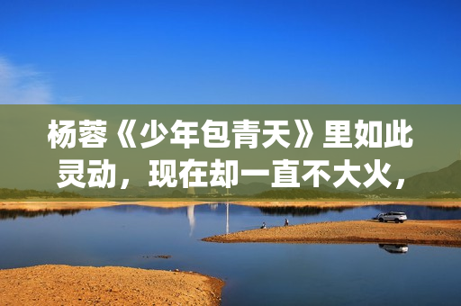 杨蓉《少年包青天》里如此灵动，现在却一直不大火，原因在这(歌曲少年包青天)