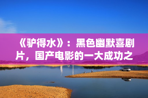 《驴得水》：黑色幽默喜剧片，国产电影的一大成功之作！(驴得水是真实的故事吗)
