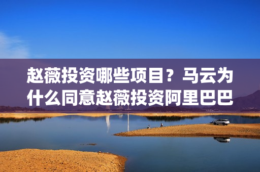 赵薇投资哪些项目？马云为什么同意赵薇投资阿里巴巴(赵薇投资哪些项目好)