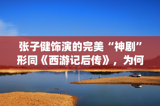 张子健饰演的完美“神剧”形同《西游记后传》，为何却被点名批评(张子健主演的)