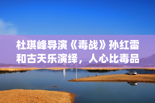 杜琪峰导演《毒战》孙红雷和古天乐演绎，人心比毒品更可怕(电影杜琪峰)