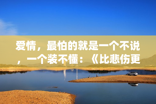 爱情，最怕的就是一个不说，一个装不懂：《比悲伤更悲伤的故事》(爱情里最怕的就是一个人在)