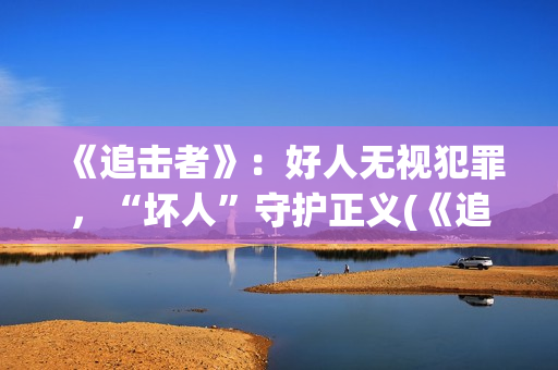 《追击者》：好人无视犯罪，“坏人”守护正义(《追击者》解析)