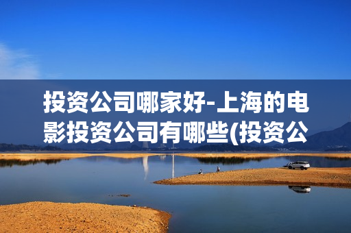 投资公司哪家好-上海的电影投资公司有哪些(投资公司最大哪家)