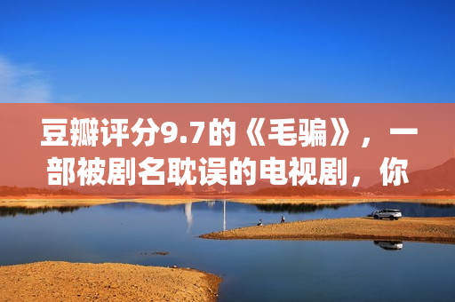 豆瓣评分9.7的《毛骗》，一部被剧名耽误的电视剧，你看过没？(豆瓣评分9.5)