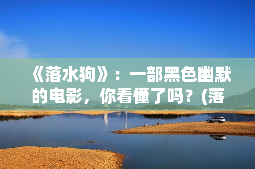 《落水狗》：一部黑色幽默的电影，你看懂了吗？(落水狗终极解读)