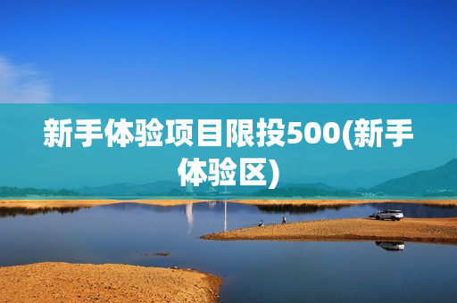 新手体验项目限投500(新手体验区)