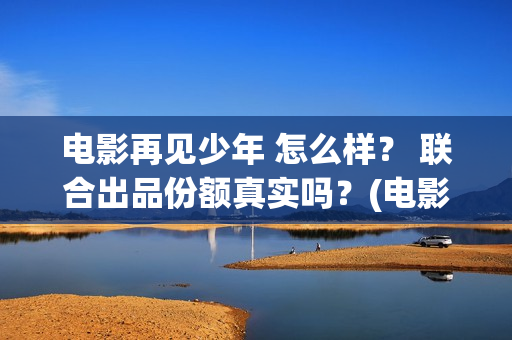 电影再见少年 怎么样？ 联合出品份额真实吗？(电影再见少年结局是什么)