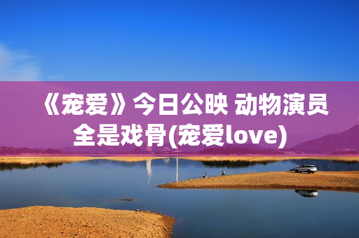 《宠爱》今日公映 动物演员全是戏骨(宠爱love)