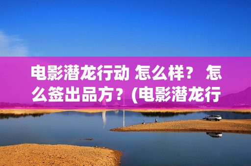 电影潜龙行动 怎么样？ 怎么签出品方？(电影潜龙行动)