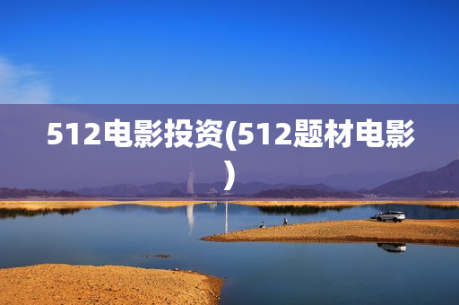 512电影投资(512题材电影)