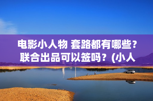 电影小人物 套路都有哪些？ 联合出品可以签吗？(小人物这部电影)