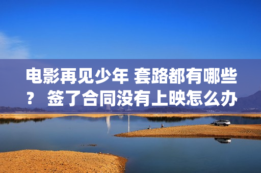 电影再见少年 套路都有哪些？ 签了合同没有上映怎么办？(电影再见少年剧情介绍)