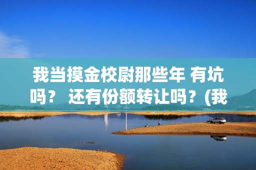 我当摸金校尉那些年 有坑吗？ 还有份额转让吗？(我当摸金校尉结局知乎)