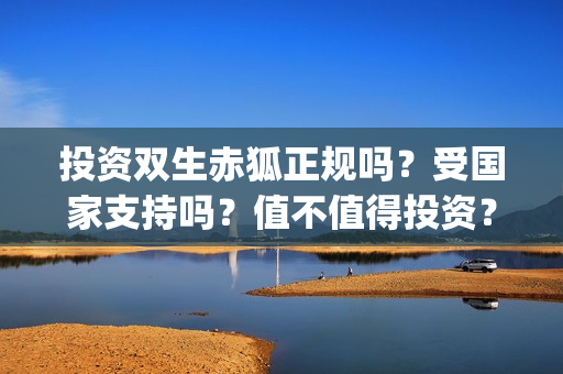 投资双生赤狐正规吗？受国家支持吗？值不值得投资？(剧名《双生赤狐》)