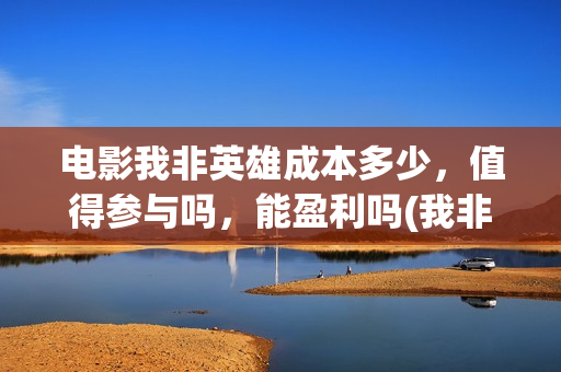 电影我非英雄成本多少，值得参与吗，能盈利吗(我非英雄在线播放大地影院)