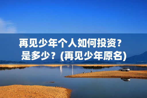 再见少年个人如何投资？ 是多少？(再见少年原名)