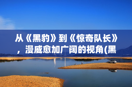 从《黑豹》到《惊奇队长》，漫威愈加广阔的视角(黑豹过后看什么)