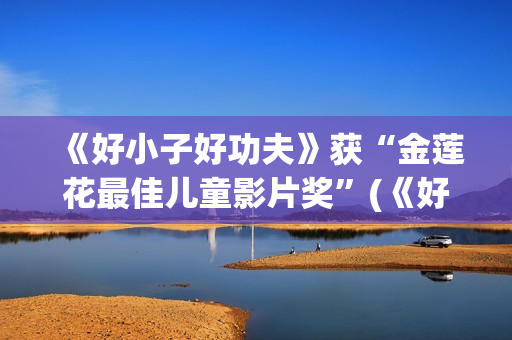 《好小子好功夫》获“金莲花最佳儿童影片奖”(《好小子好功夫》歌词)