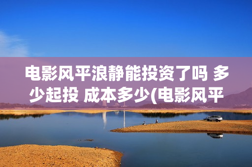 电影风平浪静能投资了吗 多少起投 成本多少(电影风平浪静演的什么意思)