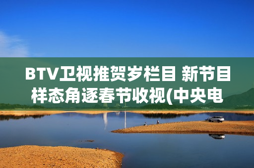 BTV卫视推贺岁栏目 新节目样态角逐春节收视(中央电视台贺岁杯)