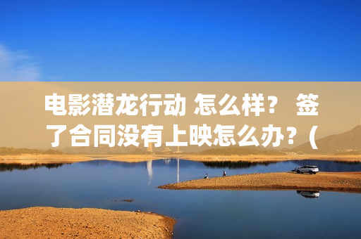 电影潜龙行动 怎么样？ 签了合同没有上映怎么办？(电影潜龙行动演员表)