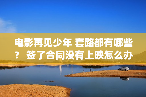 电影再见少年 套路都有哪些？ 签了合同没有上映怎么办？(电影再见少年免费观看)