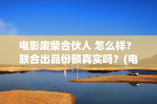 电影废柴合伙人 怎么样？ 联合出品份额真实吗？(电影废柴合伙人免费观看)