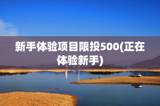 新手体验项目限投500(正在体验新手)