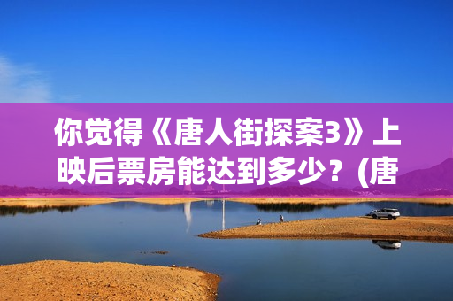 你觉得《唐人街探案3》上映后票房能达到多少？(唐人街讲的什么意思)