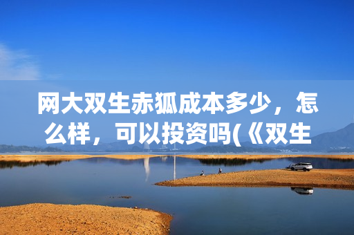 网大双生赤狐成本多少，怎么样，可以投资吗(《双生赤狐》)