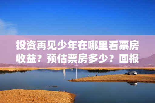 投资再见少年在哪里看票房收益？预估票房多少？回报率(再见少年个人投资真实吗)