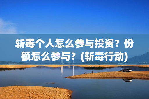 斩毒个人怎么参与投资？份额怎么参与？(斩毒行动)