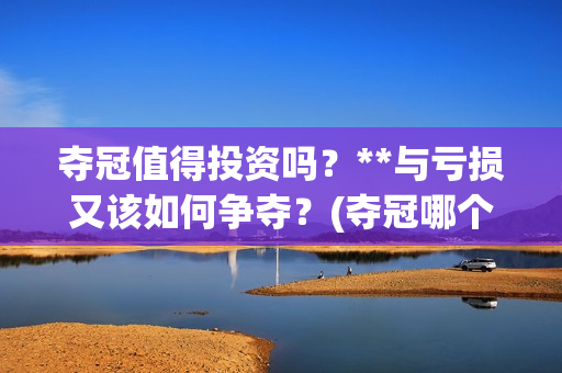 夺冠值得投资吗？**与亏损又该如何争夺？(夺冠哪个公司的)
