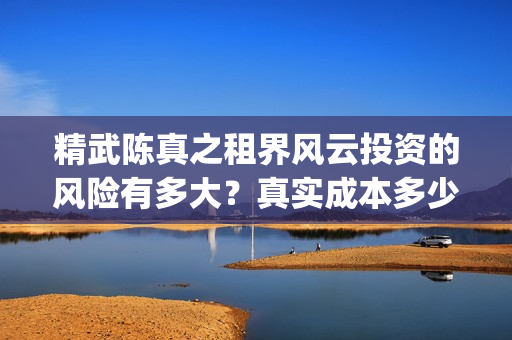 精武陈真之租界风云投资的风险有多大？真实成本多少？(精武陈真2021)