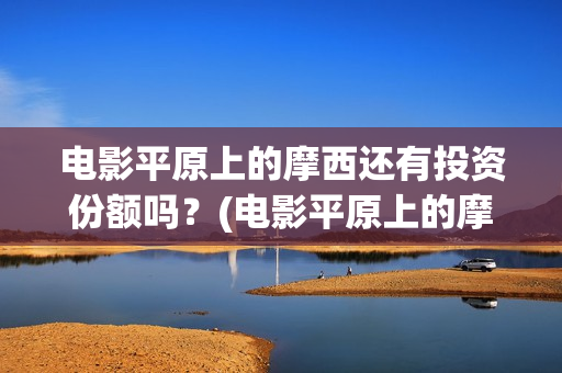 电影平原上的摩西还有投资份额吗？(电影平原上的摩西内容简介)