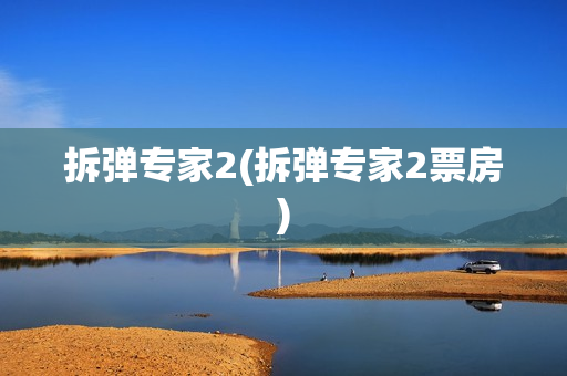 拆弹专家2(拆弹专家2票房)
