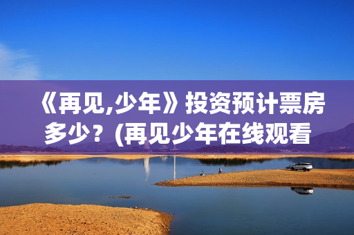 《再见,少年》投资预计票房多少？(再见少年在线观看免费完整版)