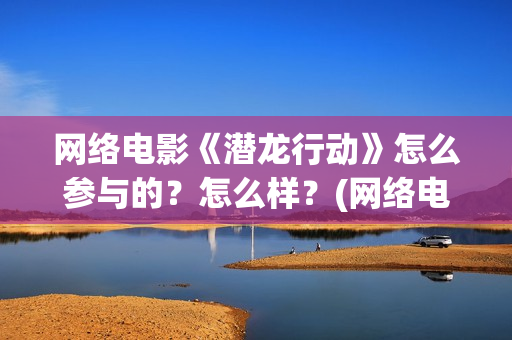 网络电影《潜龙行动》怎么参与的？怎么样？(网络电影《潜龙》演员表)