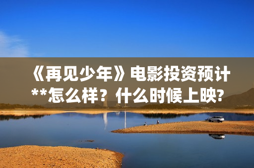 《再见少年》电影投资预计**怎么样？什么时候上映? (再见少年是什么电影)