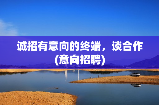 诚招有意向的终端，谈合作(意向招聘)